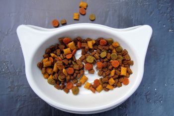 mokra karma dla kota