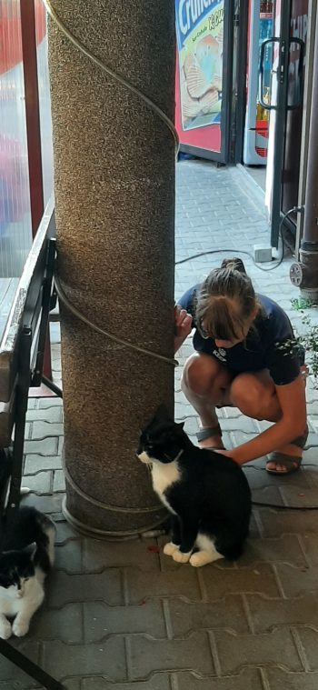 Przejście do innego świata