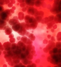 Siła kobiet płynie w żyłach. Czas przełamać mity o krwiodawstwie