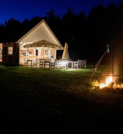 Weekend, który zmienia relację z psem – pierwsza edycja Psiej Akademii